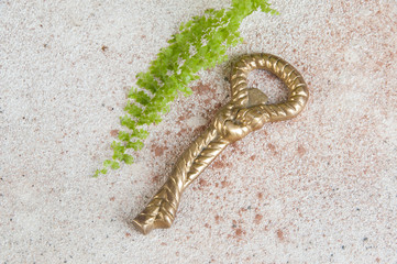 Antique brass bottle-opener on concrete background