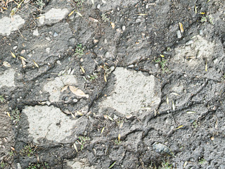 background texture. very old cracked asphalt with lots of blades of grass and pebbles