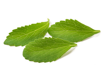 Stevia leaves