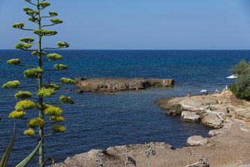 Sea coast in Alghero city, Sardinia, Italy - 288753593