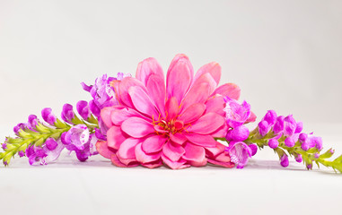 bouquet of pink and purple flowers isolated on white background