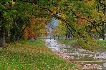 Naklejka premium autumn in the park