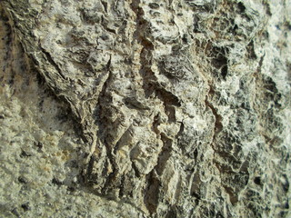  Wood texture for your design