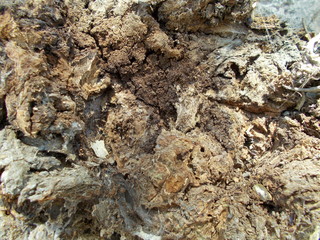  Wood texture for your design