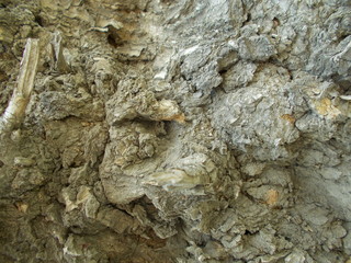  Wood texture for your design