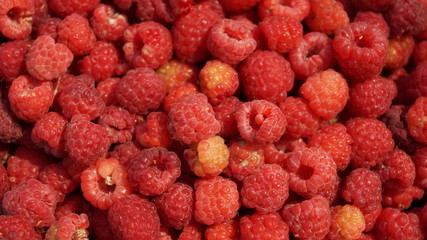 berry wild raspberry