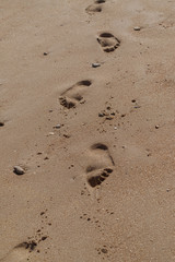 Fototapeta na wymiar footprint in the sand, imprint
