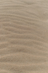 Fototapeta na wymiar sand texture close up, coast
