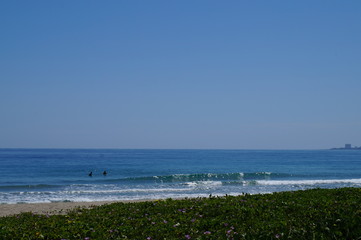 Fototapeta na wymiar espectacular playa azul, con oliage y cielo azul 