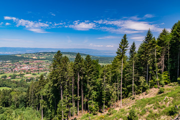 Landscape view of coniferous forest on a mountain slope, cities in the distance, hills and blue sky with clouds,front focus on the pine forest.Haute-Savoie in France.