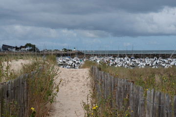 Path through the dunes to reach the seaside with boats