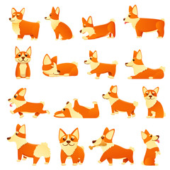 Corgi dogs icons set. Cartoon set of corgi dogs vector icons for web design