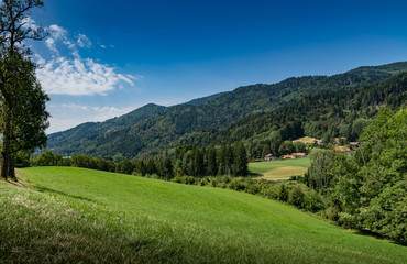 Fototapeta na wymiar Nature and landscape concept: mountain hill landscape overgrown with forests and country houses with blue sky,focus area on country houses.Haute-Savoie in France.