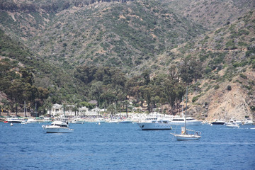 Die Avalon Bay.  Santa Catalina Island. Kalifornien.  © Liudmila Travina