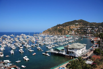 Die Avalon Bay.  Santa Catalina Island. Kalifornien.  © Liudmila Travina