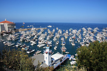 Die Avalon Bay.  Santa Catalina Island. Kalifornien.  © Liudmila Travina