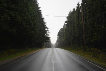 Rainforest Trail 3
