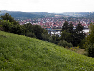 Wanderung auf dem Fränkischen Rotwein Wanderweg von Erlenbach über Klingenberg nach Miltenberg. Der Weg führt durch Weinberge und Wiesen. Im Tal sieht man den Fluss Main und die Stadt Wörth am Main.