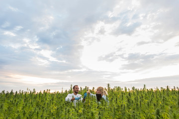 Naklejka premium Two people observing CBD hemp plants on marijuana field and writing results in tablet