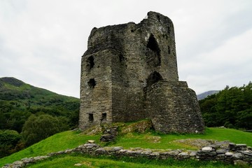 Fototapeta na wymiar Castle Ruins Isolated on a Hill 
