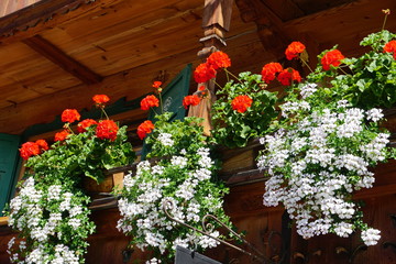 rote Geranien und weiße Blumen auf Holzbalkon