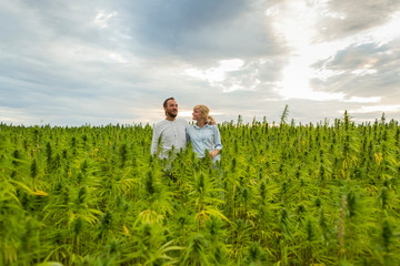 Man and woman proudly standing in their marijuana CBD hemp plants field.