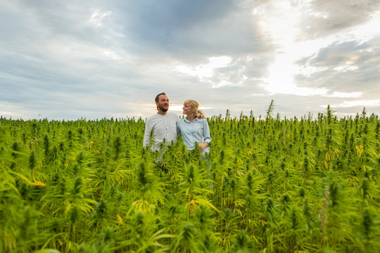 Man And Woman Proudly Standing In Their Marijuana CBD Hemp Plants Field.