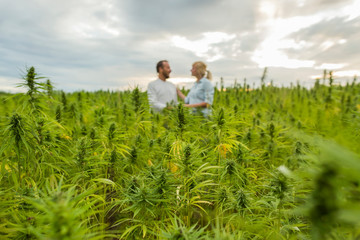 Man and woman proudly standing in their marijuana CBD hemp plants field.