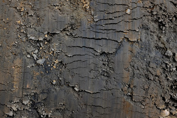 Unweathered dark grey Weald clay background, scraped smooth