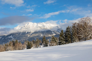 Obraz premium Winterliche Landschaft mit schnee bedeckt