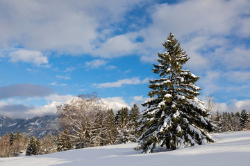 Winterliche Landschaft mit schnee bedeckt
