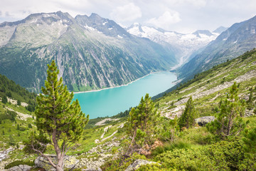 Blue lake in the Alps with pine tree in the foreground
