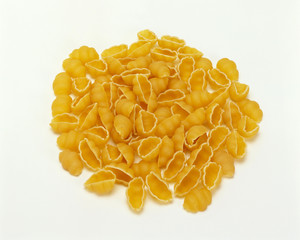 Pile of uncooked Conchiglie Pasta on white background