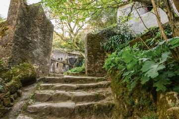 Stone stairs covered moss in Capuchin monastery in Portugal