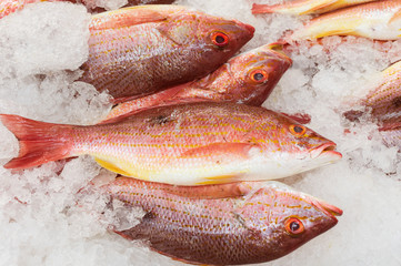 Image of whole red snapper at a fish market.