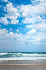 Stunning view of the ocean and a seagull flying over it on a blue sky background.