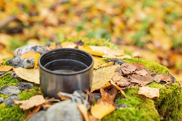 Cup of tea on yellow foliage. Thermos. Walk in the autumn forest - Image