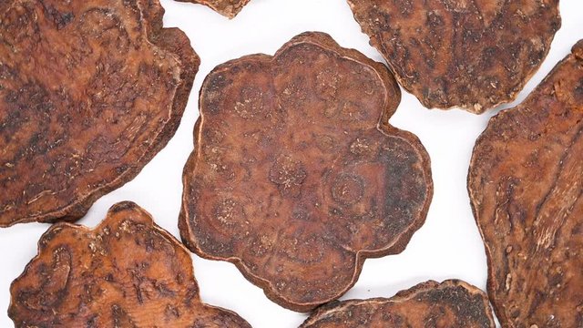 top view herb medicine HeShouWu or Polygoni Multiflori Radix or Tuber Fleeceflower Root rotate and pause