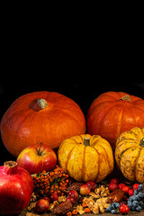 Traditional German Autumn pumpkins, berries and nuts as still-life set at black background