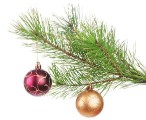 Decoration ball on pine branch