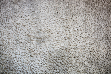 Beautiful vintage background. Abstract grunge decorative stucco wall texture. Wide rough background with copy space for text.