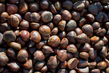 castagne pronte per la cottura