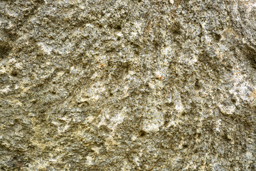 Obraz na płótnie Canvas Beautiful vintage background. Abstract grunge decorative stucco wall texture. Wide rough background with copy space for text.