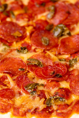 salami pizza