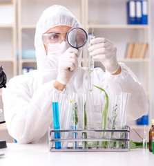 Biotechnology scientist chemist working in lab