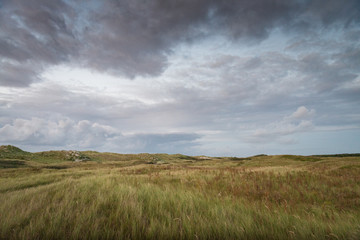 Obraz premium Dune landscape, sunset by the sea, beautiful blue cloudy sky, contrast, light, shadow, idyllic, Marram Grass, sand dunes, Ameland, Dutch north sea, coast, Ameland, Wadden island, Friesland, Netherland