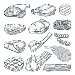 Meat collection, sketch vector illustration. Hand drawn food design elements. Beef steak, ham, pork fillet, lamb