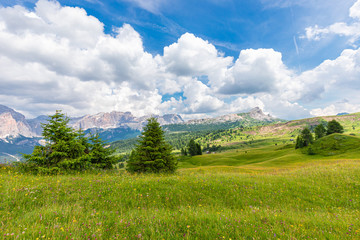 Fototapeta na wymiar View of alpine meadow with wild flowers in the Italian Dolomites. Italian Alps, Alto Adige.