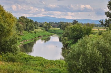Beautiful green summer landscape. River between plants with mountains in the background.