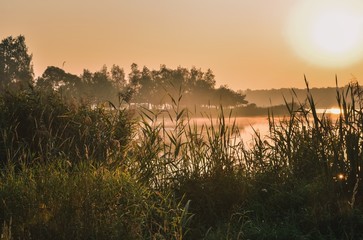 Beautiful summer morning scenery. Sunrise over the peninsula on the lake.